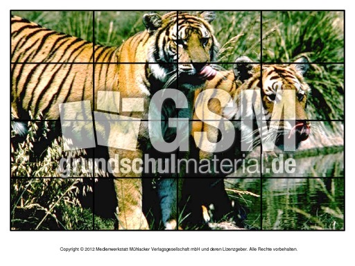 Puzzle-Tiger-1.pdf